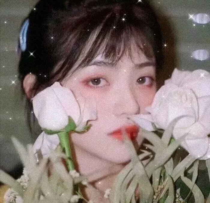 枯木逢春